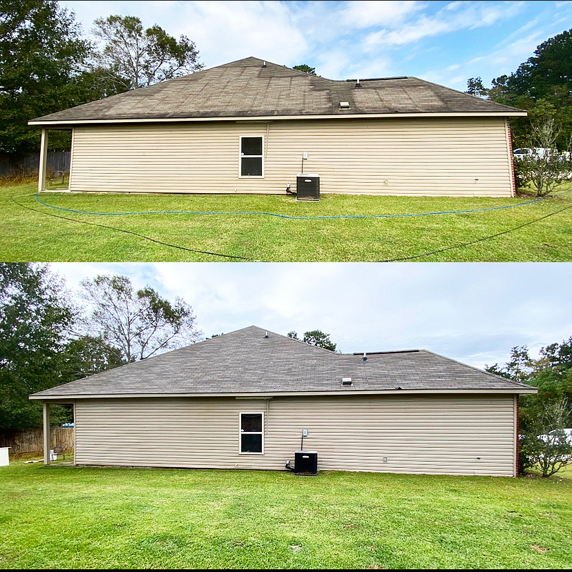 Black Streaks on Your Roof? Signs It Is Time for Roof Cleaning in Georgia