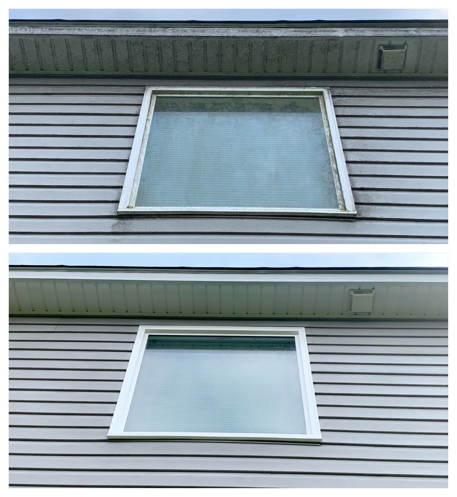 Window Cleaning project photo for Clean Defense Force in Bethlehem, GA